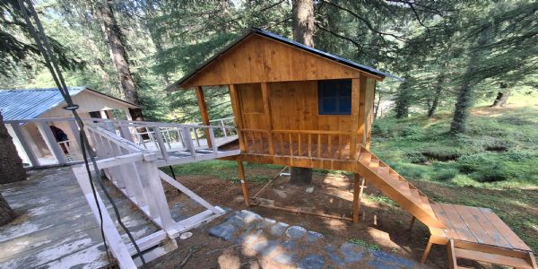शिकारी देवी : प्राकृतिक सौंदर्य, ट्री हाउस और ईको टूरिज्म का अनूठा संगम बायोडायवर्सिटी पार्क
