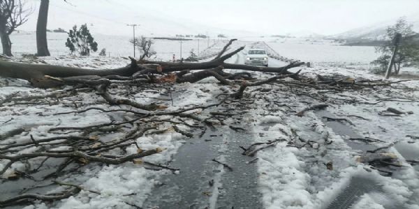 दक्षिण अफ्रीका में भयंकर बाढ़ से अब तक 49 लोगों की मौत, आंकड़ा और बढ़ने की आशंका