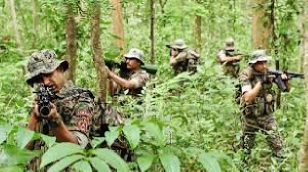 सुरक्षा बलों की माओवादियों से सुकमा जिले में मुठभेड़,फाइल फोटो