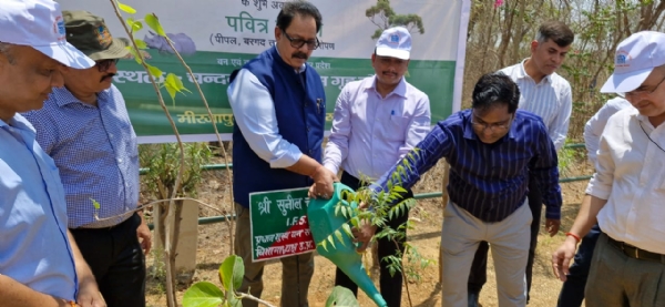 पौध।रोपण करते विभागाध्यक्ष सुनील चौधरी।