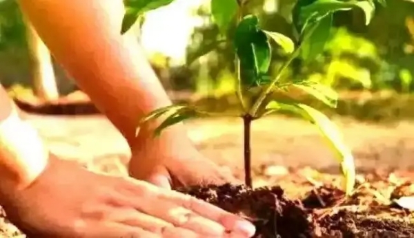 प्रतीकात्‍मक फोटो