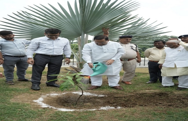 पौधारोपण करते विधानपरिषद के सभापति अवधेश सिंह
