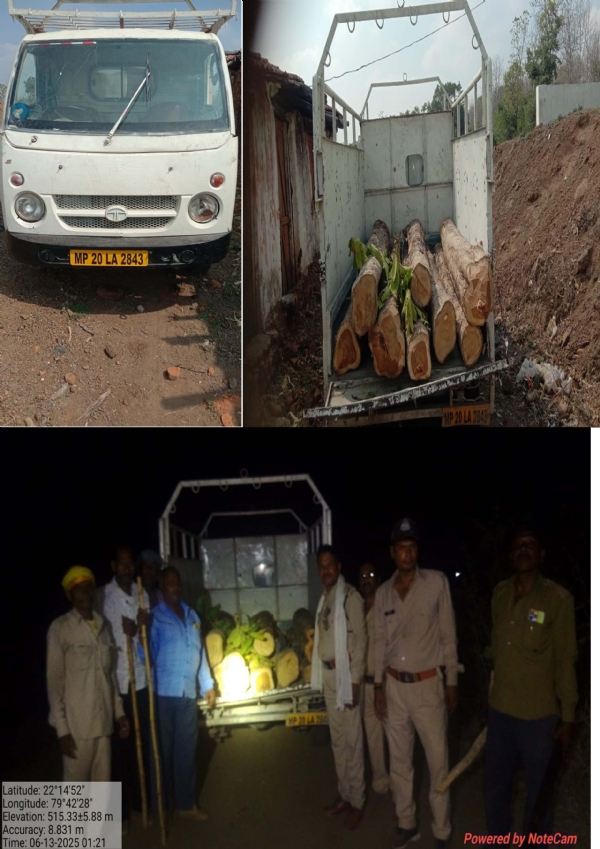 Seoni: 08 pieces of illegal teak seized, forest offence registered