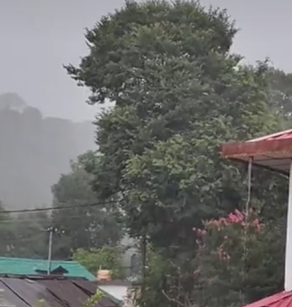 धर्मशाला में बारिश से गर्मी से राहत।