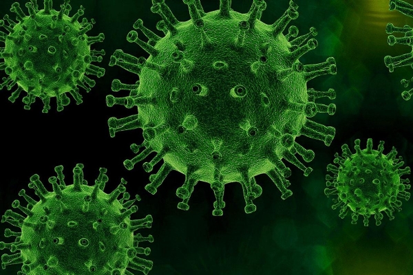 कोरोना। कोरोना।