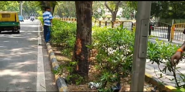 तेज रफ्तार बाइक पेड़ से टकराई, एक की मौत