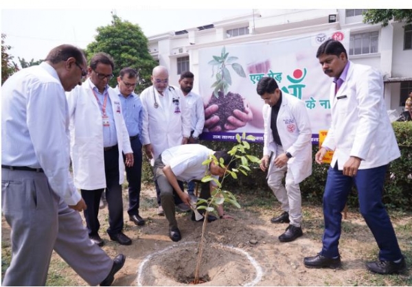वृक्षारोपण करते चिकित्सक