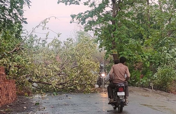 बिजली गिरने, करंट लगने एवं दीवार ढहने से