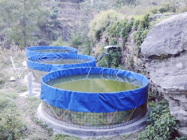 ग्वाड़ीगाड़ गांव में मछली पालन करने के लिए बने तालाब