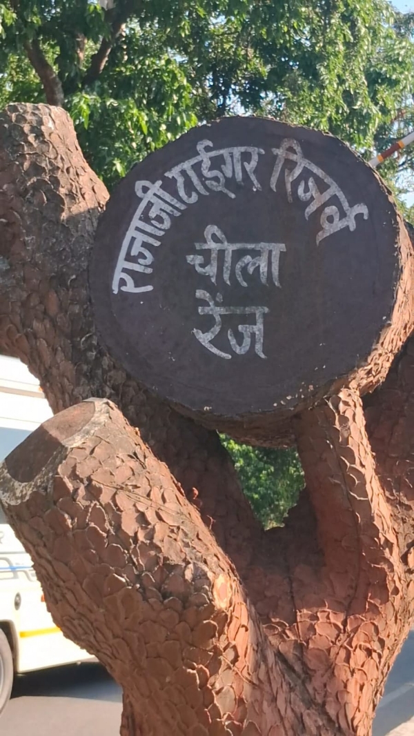 राजाजी टाइगर रिजर्व गेट राजाजी टाइगर रिजर्व गेट