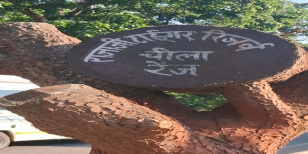 राजाजी टाइगर रिजर्व आज से पर्यटकों के लिए बंद