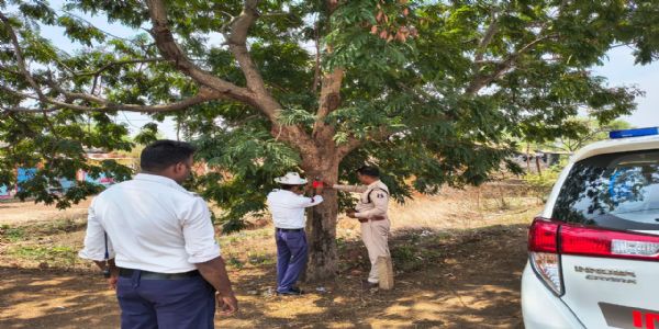 जांजगीर-चांपा : वाहन दुर्घटनाओं को कम करने रोड किनारे लगे पेड़ो में लगाए जा रहे रेडियम के रिफ्लेक्टर