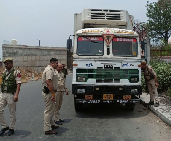 Cow smuggling attempt fails, 20 cows freed