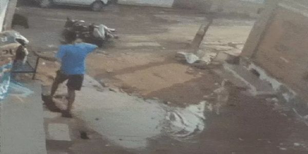 जंगली सूअर के हमले से व्यापारी घायल, आठ वर्षीय बेटा बाल-बाल बचा