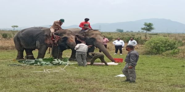 हाथियों की वजह से दुर्घटनाओं की रोकथाम के लिए ईआईडीएस का परीक्षण शुरू