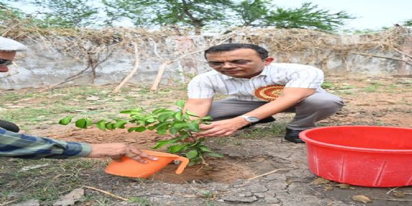 जांजगीर जिले के सभी स्कूलों मे उत्साह और उल्लास के साथ मनाया गया प्रवेश उत्सव