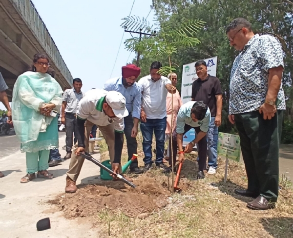 स्वच्छ जम्मू, हरित जम्मू अभियान के तहत बीएसएफ पलौरा के पास बड़े पैमाने पर वृक्षारोपण अभियान आयोजित किया गया