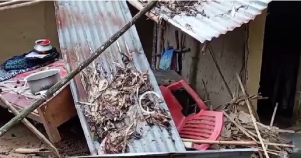 असमः नगांव जिले के सामागुड़ी में जंगली हाथी के हमले में क्षतिग्रस्त ग्रामीण का घर