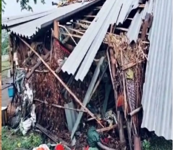 हाथी ने ग्रामीण के घर में जमकर तोड़फोड़ की
