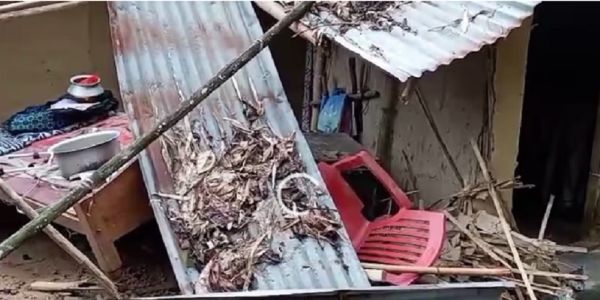 जंगली हाथियों ने तोड़े ग्रामीणों के घर