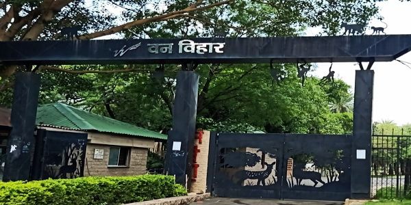 भोपाल वन विहार में किंग कोबरा की मृत्यु