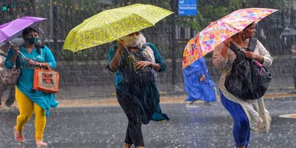 मध्‍य प्रदेश के 19 जिलों में मानसून की एंट्री, गुजरात-राजस्थान से सटे जिलों में आज भारी बारिश का अलर्ट
