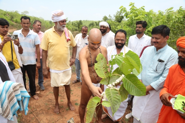 पंचायत ग्रामीण विकास मंत्री प्रहलाद सिंह पटेल बने वाहन चालक पौधा भी रोपित किया