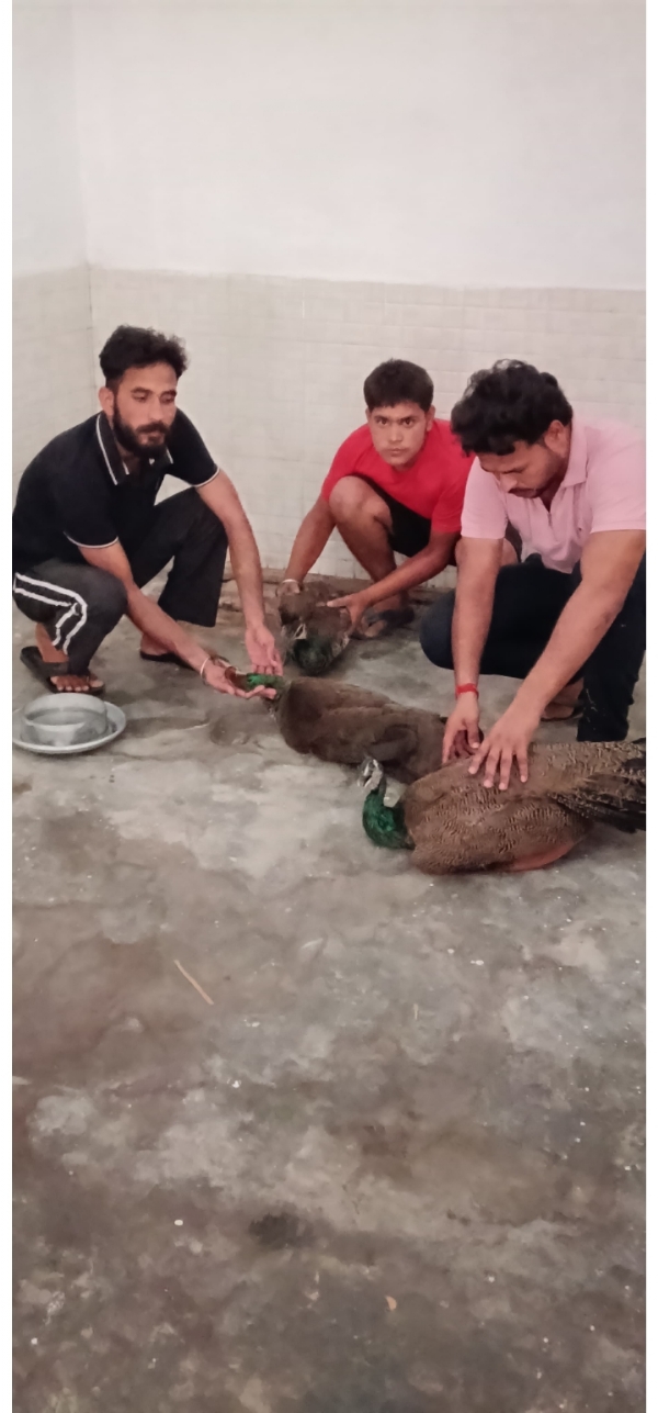 फोटो