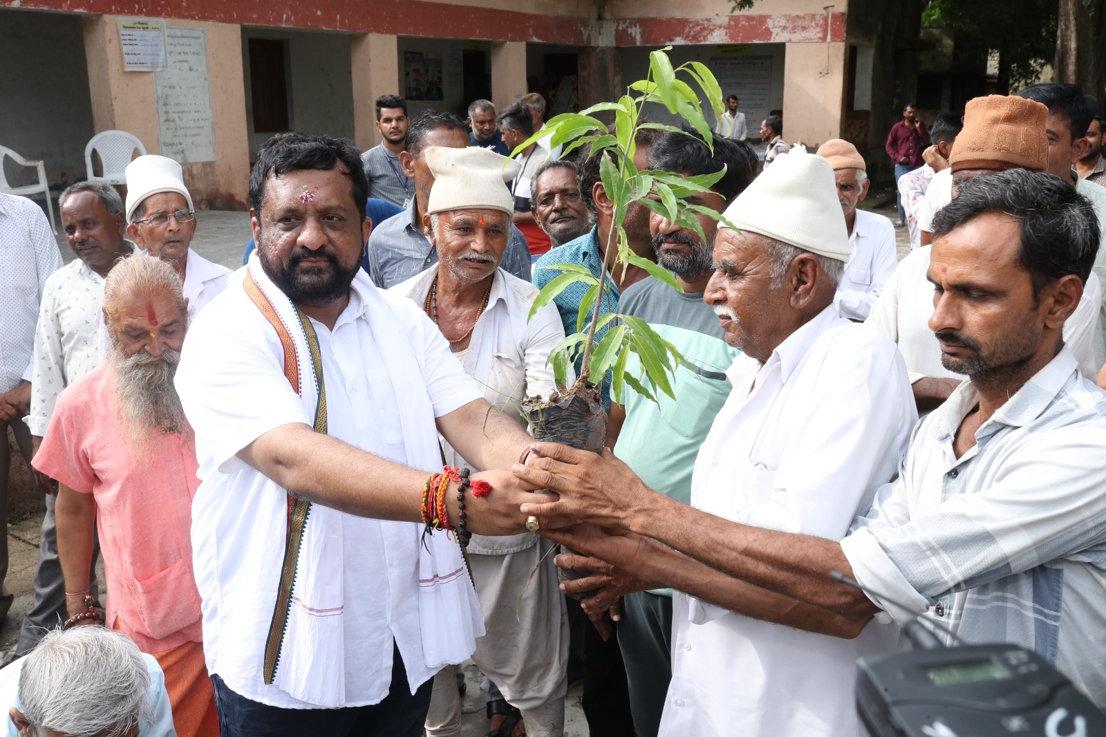 कडी-विसावदर उपचुनाव