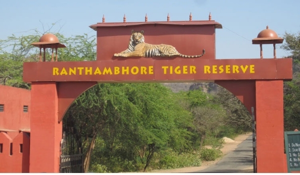 Tiger reserve, टाइगर रिजर्व, रणथंभौर