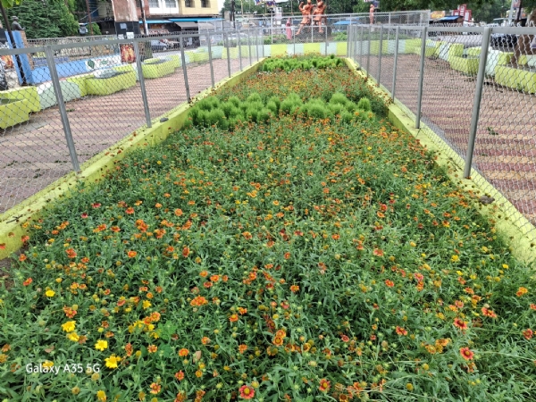 कोरबा शहर की खुबसूरती में चार चांद लगा रही निगम की स्ट्रीट गार्डनिंग व वाल भित्तिचित्र