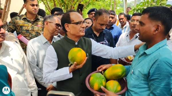 मोतिहारी के किसान पपाया मैन राजेश यादव के उत्पादन का अवलोकन करते मंत्री