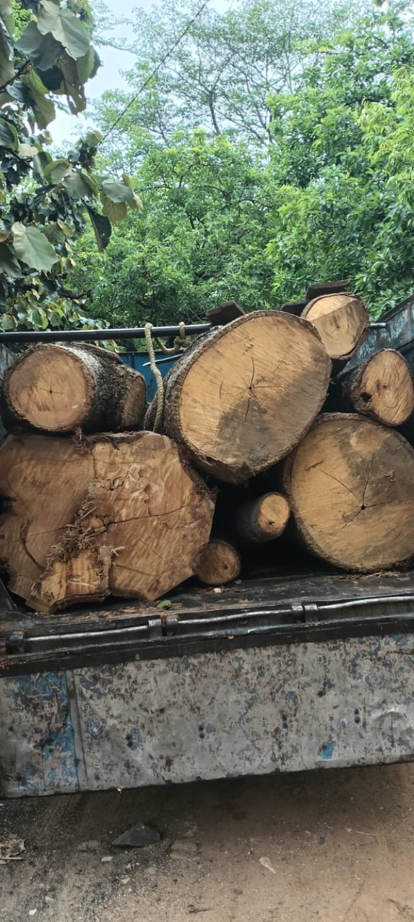 Wood