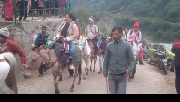 यमुनोत्री धाम में संचालित घोड़े खच्चर के पशुपालन विभाग ने 15 से अधिक घोड़े खच्चरों के रेंडमली  सैम्पल लेते हुए