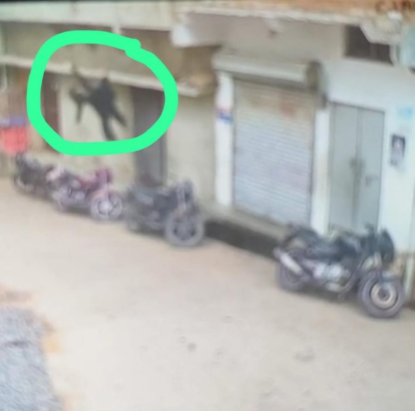 छत से गिरती हुई महिला