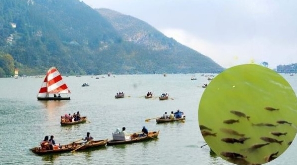 Naini Lake