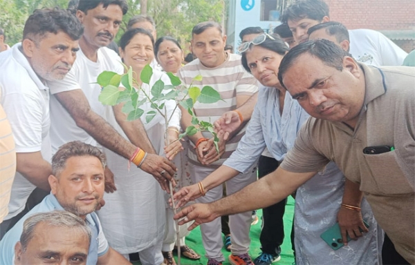 राई के अकबरपुर बारोट गांव में  राई विधायक कृष्णा गहलावत पाैधााराेपणा करते हुए