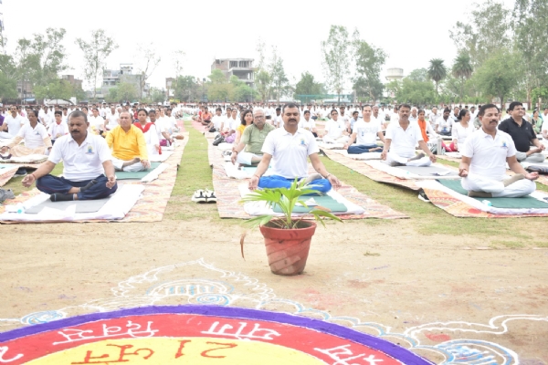 योग करते गन्ना विकास मंत्री योग करते गन्ना विकास मंत्री