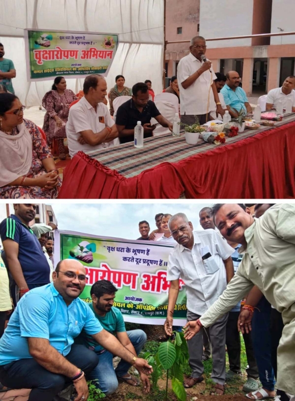 वृक्षारोपण अभियान में शामिल नन्द कुमार साहू