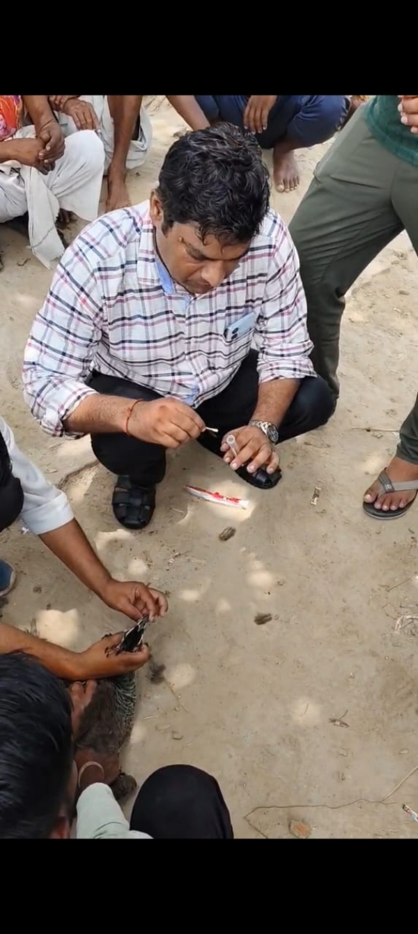 फोटो फोटो