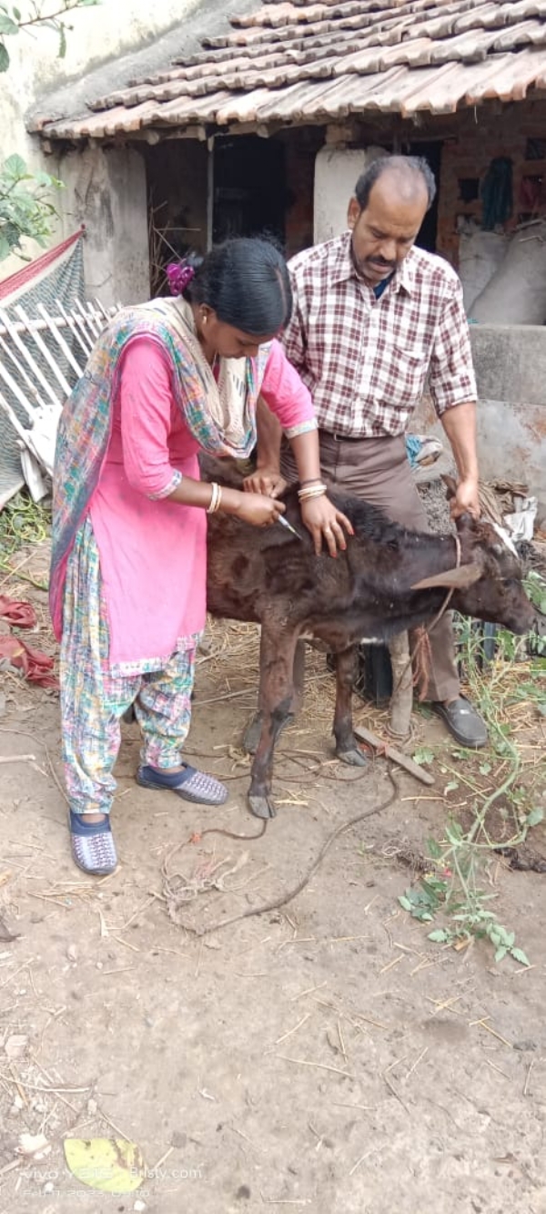 केविके का कार्यक्रम