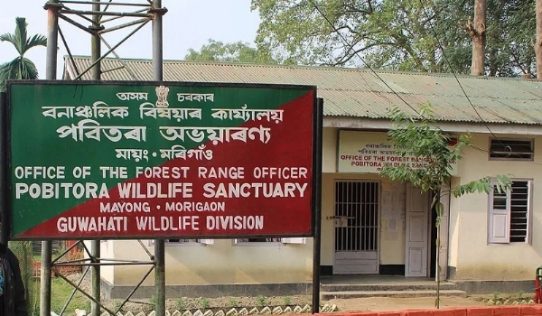 असमः पोबितरा अभयारण्य। फाइल फोटो