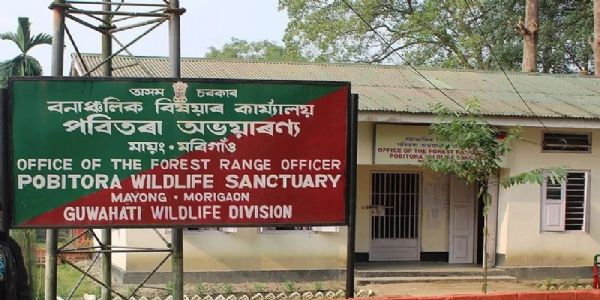 पोबितरा अभयारण्य के 20 प्रतिशत क्षेत्र में घुसा बाढ़ का पानी