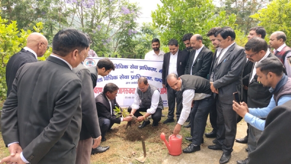 वृक्षारोपण करते जिला जज एवं अधिवक्ता