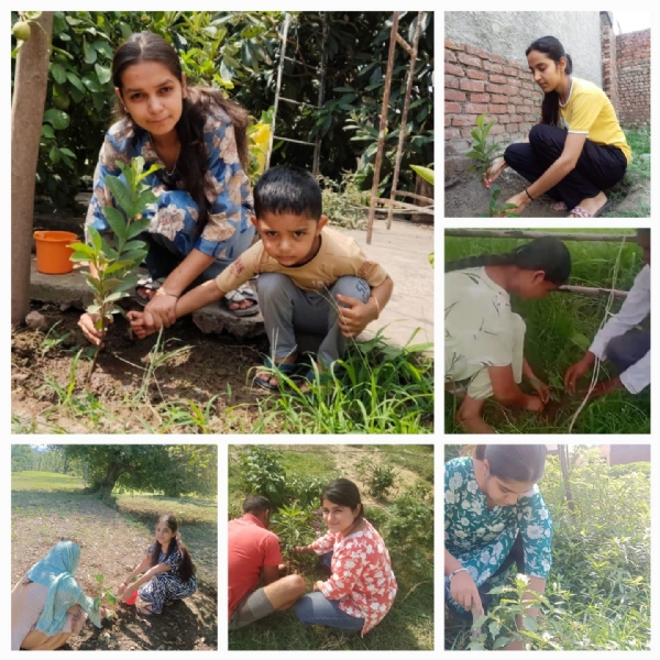 Students took selfies with their families by planting trees and gave the message of environmental protection