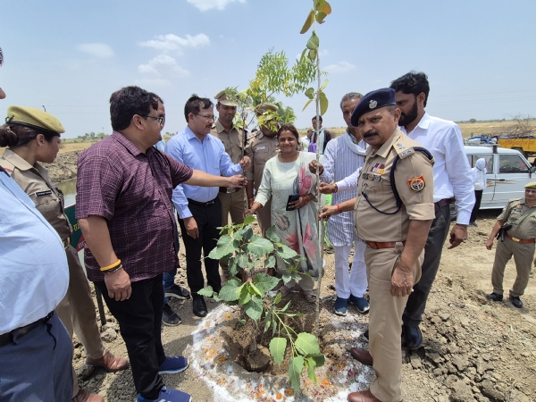 पौधरोपण करते जिलाधिकारी