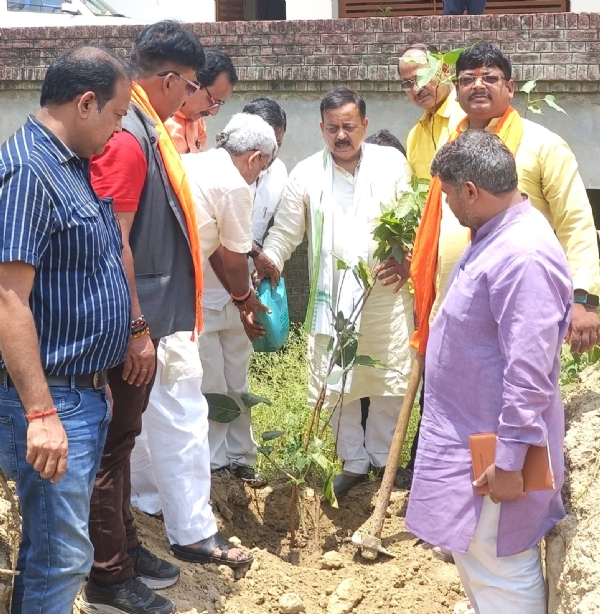 वृक्षारोपण