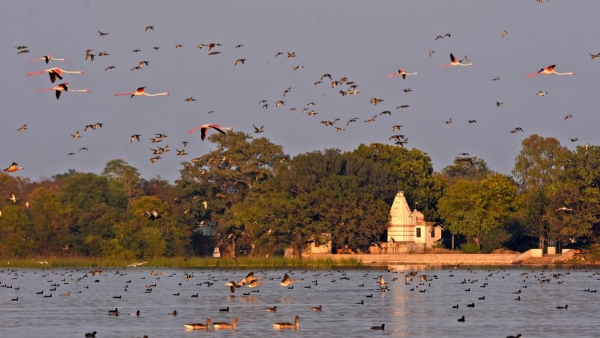 मेनार बडर् विलेज फाइल फाेटाे