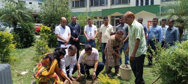 पर्यावरण दिवस पर पौधा रोपते हुए सीएमओ।