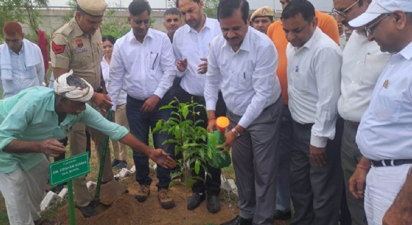 पर्यावरण दिवस पर बावल में पौधारोपण करते हुए विधायक बावल डा. कृष्ण कुमार।